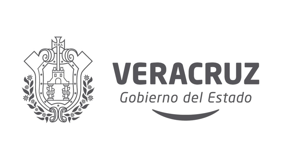 Retiran De Circulaci 243 N 483 Taxis Por Irregularidades En