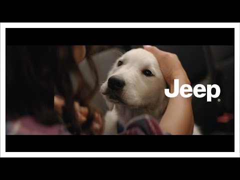 Embedded thumbnail for Jeep | Life Electrified | 80 Years