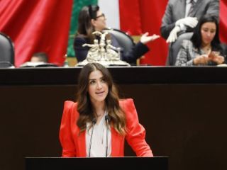 Paloma Sánchez, diputada federal por el Partido Revolucionario Institucional (PRI) 01 291123