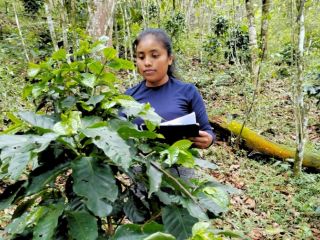 CHEP Unidos por el café: Sabormex y CHEP impulsan el futuro de la caficultura mexicana 01080125