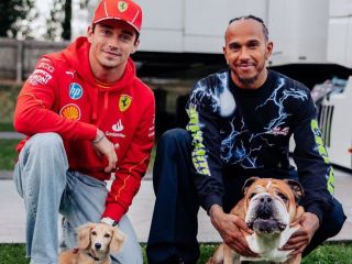 Día del Perro: las mascotas de Formula 1 01 190724