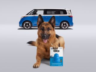 Volkswagen, KONG y VCA Charities dan rienda suelta a la alegría con un juguete para perros de edición limitada inspirado en el ID. Buzz 01210325
