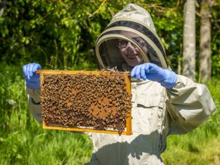 Rolls-Royce se prepara para celebrar el Día Mundial de las Abejas 01 170524