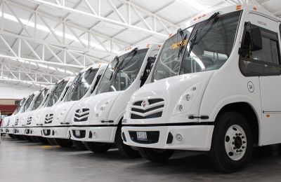 Compra Grupo Drivers 30 autobuses International a Cacesa