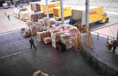 DHL Express 01 250124