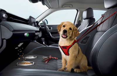 Honda lanza una nueva gama de asientos delanteros de copiloto para mascotas 01 010422