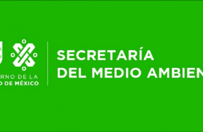 Sedema