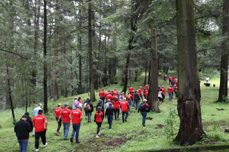 Reforestación ANPACT 01 050923
