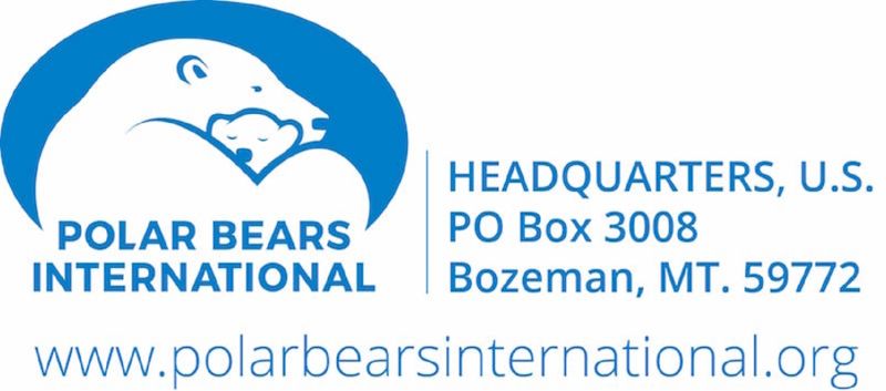Polar Bears International Logo 01 220722