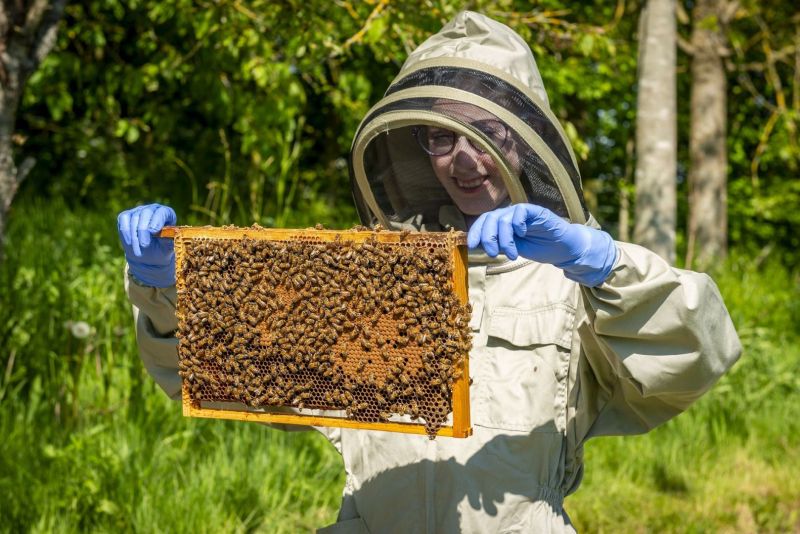 Rolls-Royce se prepara para celebrar el Día Mundial de las Abejas 01 170524