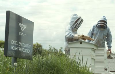 Abejas extraordinarias de Bentley 01 190523