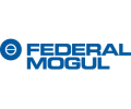 Federal Mogul